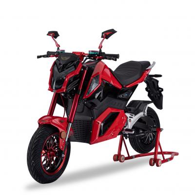 SL-W1 2000W High Quality Electric Motorcycle